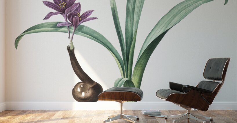 Alpine autumn crocus illustration  Wall Murals