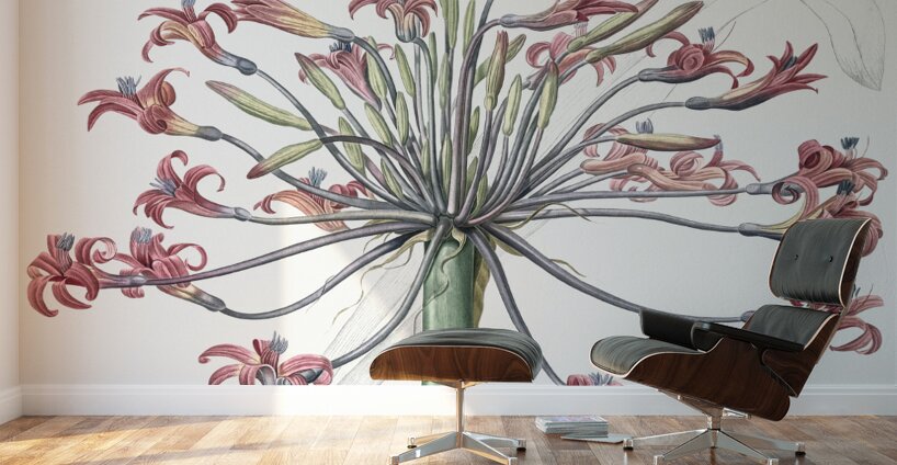 Josephine & lily illustration  Wall Murals