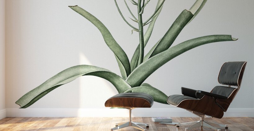 Slime lily illustration  Wall Murals