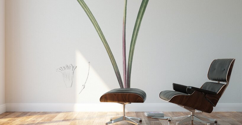 Brandlelie illustration  Wall Murals