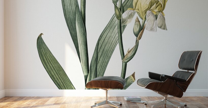 Lemonyellow iris illustration  Wall Murals