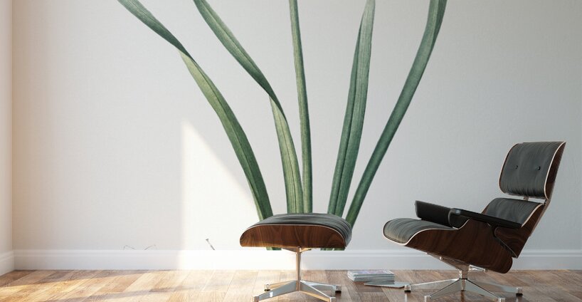 Sea asparagus illustration  Wall Murals