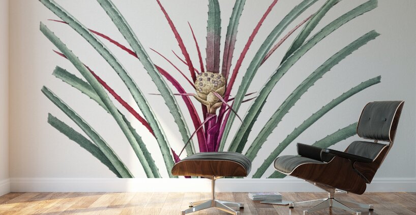 Ornamental onion illustration  Wall Murals