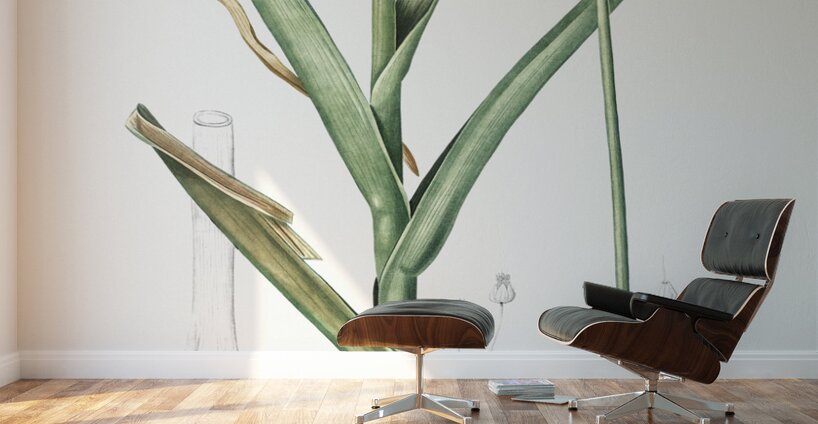 Broadleaf wild leek illustration  Wall Murals