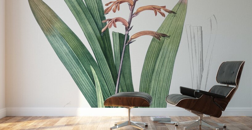 African flag illustration  Wall Murals