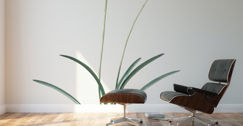 African flag illustration  Wall Murals