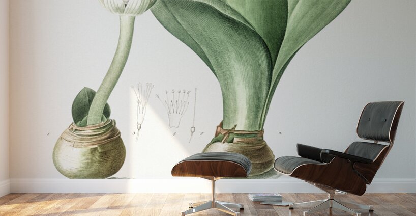 Paintbrush illustration  Wall Murals