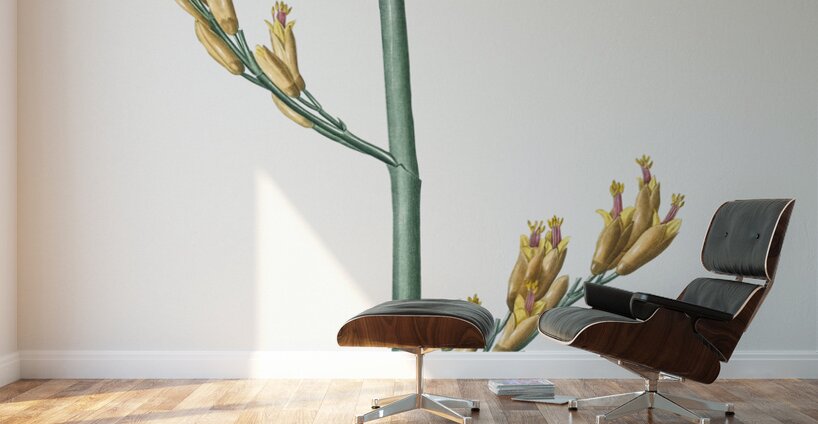 Asparagus fern illustration  Wall Murals