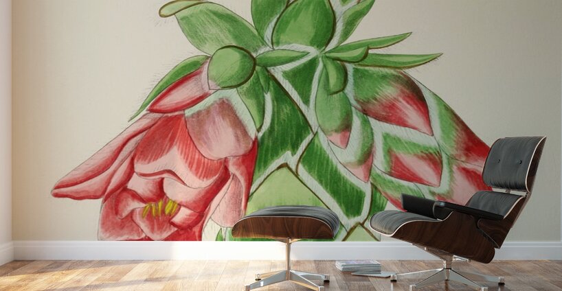 Orothamnus Zeyheri Wall Murals