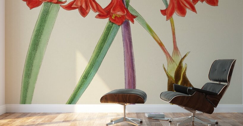 Cyrtanthus Augustifolius Wall Murals