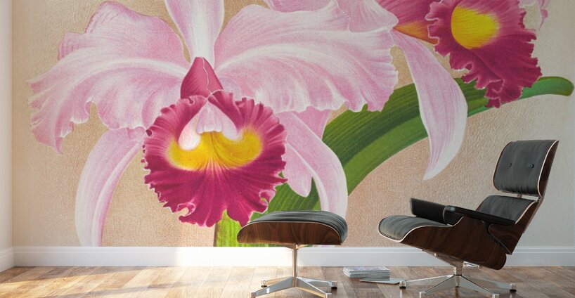Cattleya Trianae var purpurata Wall Murals