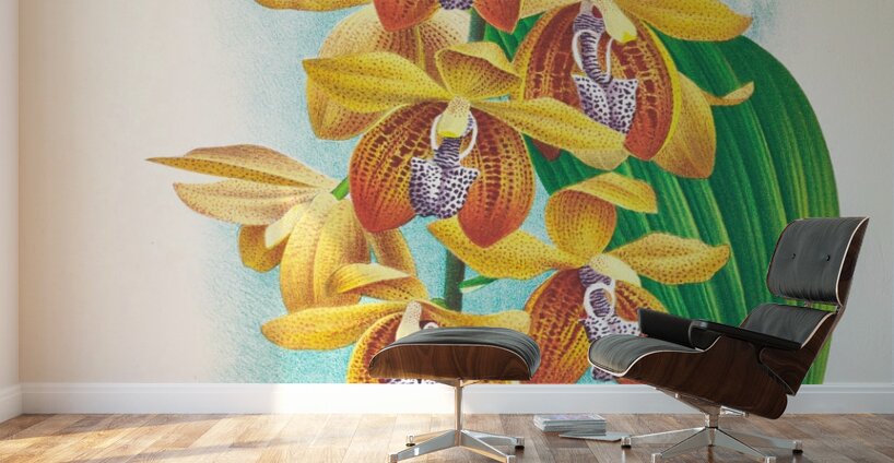 Houlletia brocklehurstiana  Wall Murals