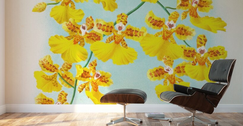 Oncidium marshallianum Wall Murals