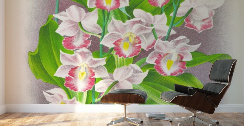 Phaius humbloti Wall Murals