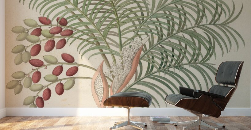 Phoenix [Phoenix reclinata] 1817 Wall Murals