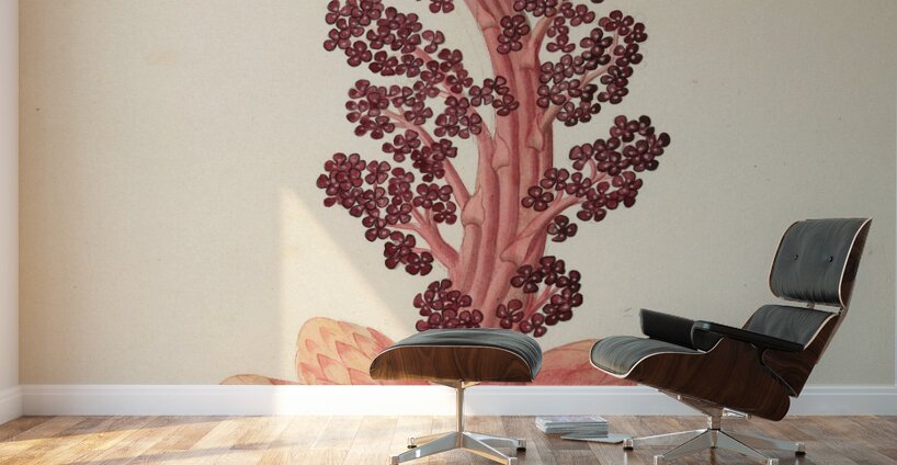 Aphyteia hydnora [Nymphaea nouchali] 1817 Wall Murals