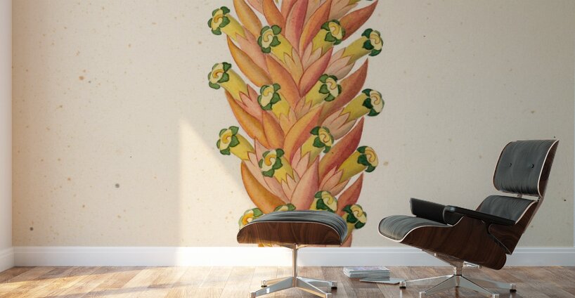 Didinamia angiosperma [Harveya hyobanchoides] 1817 Wall Murals