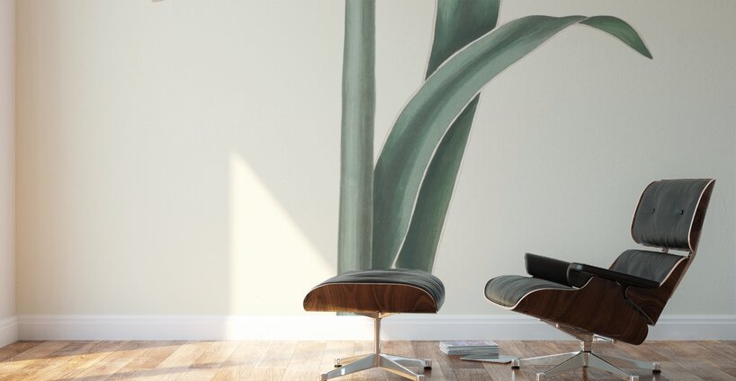 Amaryllis Harrisoni 1834 Wall Murals