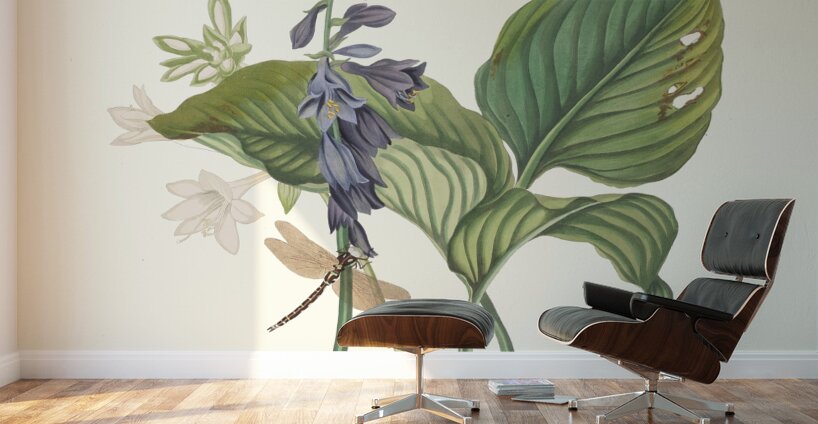 Hemerecalliscarulea Hemerecallis Japonica 1834 Wall Murals