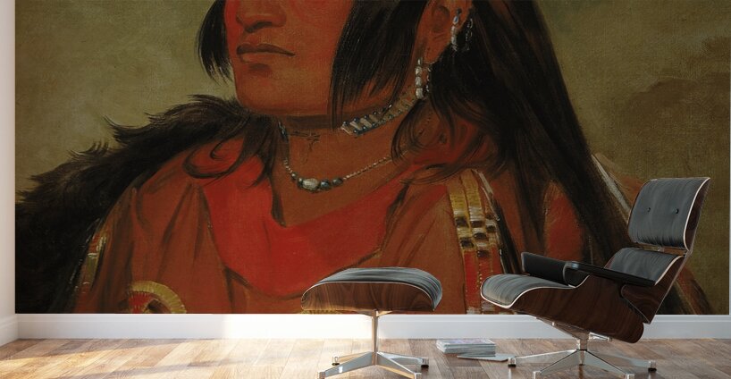 Wi-jún-jon Pigeon’s Egg Head The Light a Distinguished Young Warrior Wall Murals