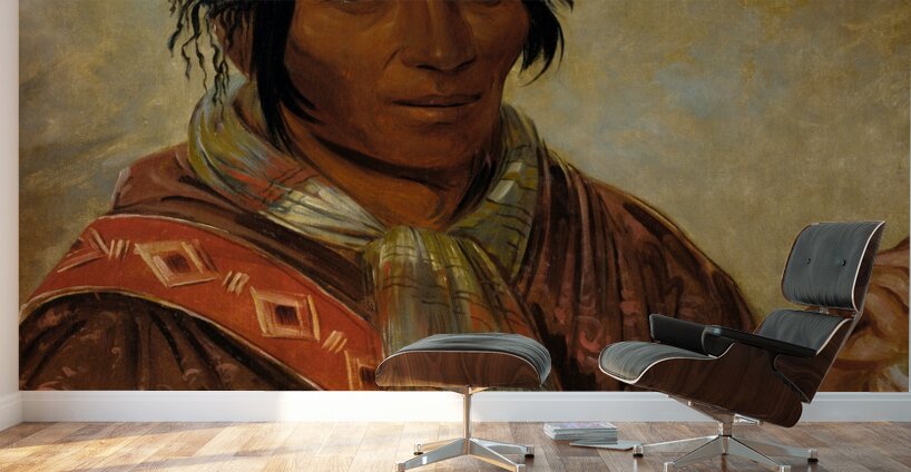 Co-Ee-Há-Jo a Chief 1838 Wall Murals