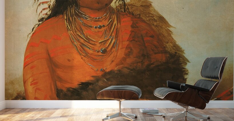 Háh-Nee The Beaver a Warrior 1834 Wall Murals