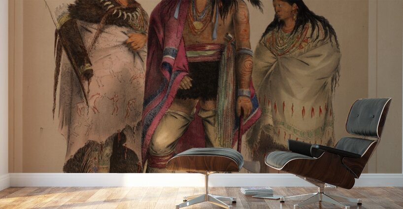 North American Indian Portfolio 1844 Wall Murals