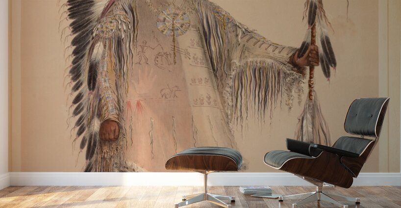 Mah-To-Toh-Pa The Mandan Chief Wall Murals