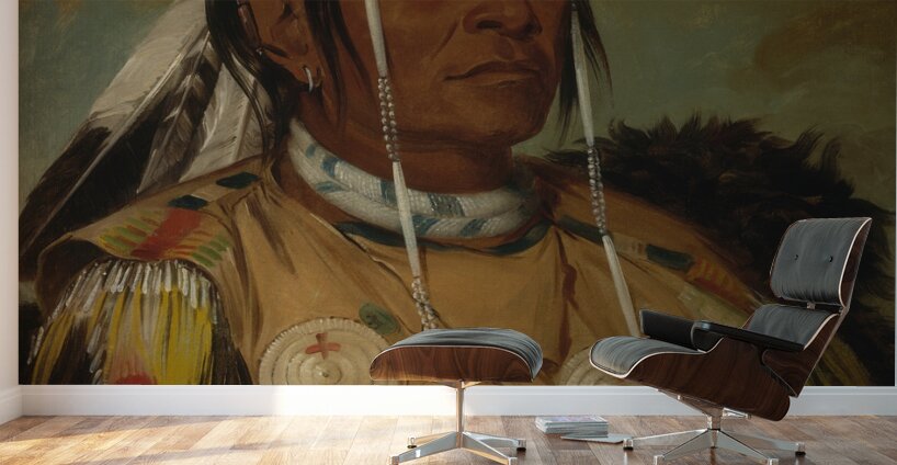 Sha-Có-Pay The Six Chief of The Plains Ojibwa 1832 Wall Murals