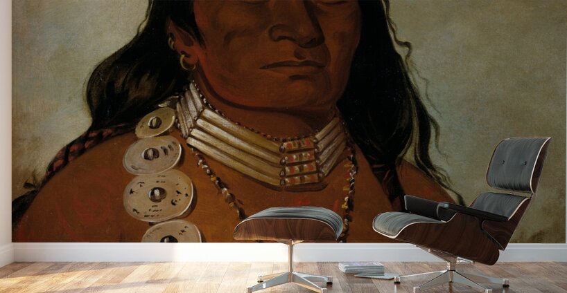 Téh-Tóot-Sah Better Known As Tohausen Little Bluff First Chief 1834 Wall Murals