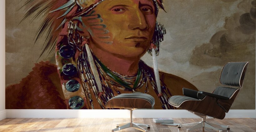 Shó-Me-Kós-See The Wolf a Chief 1832 Wall Murals