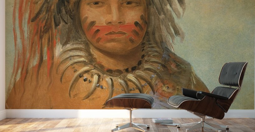 Au-nim-muck-kwa-um Tempest Bird 1845 Wall Murals