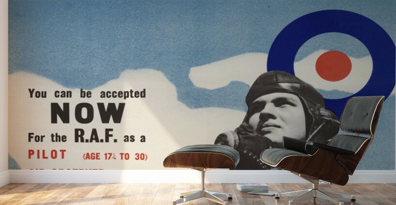 Volunteer for Flying Duties Wall Murals