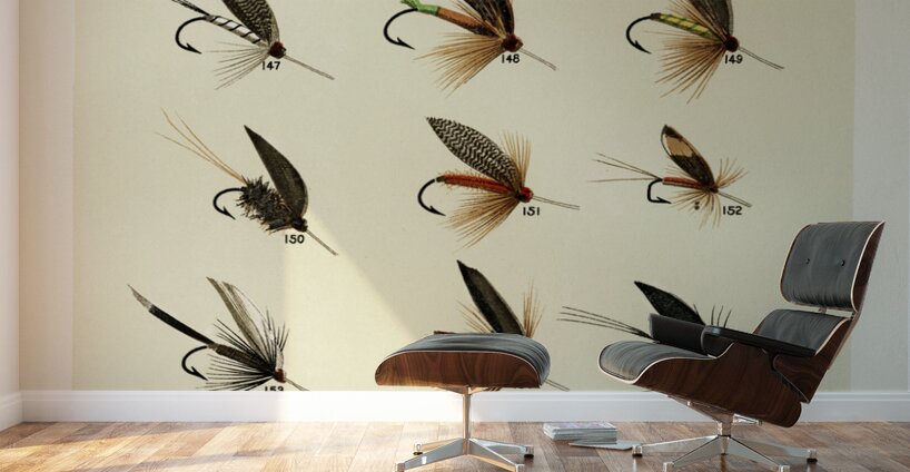 Trout Flies  Wall Murals