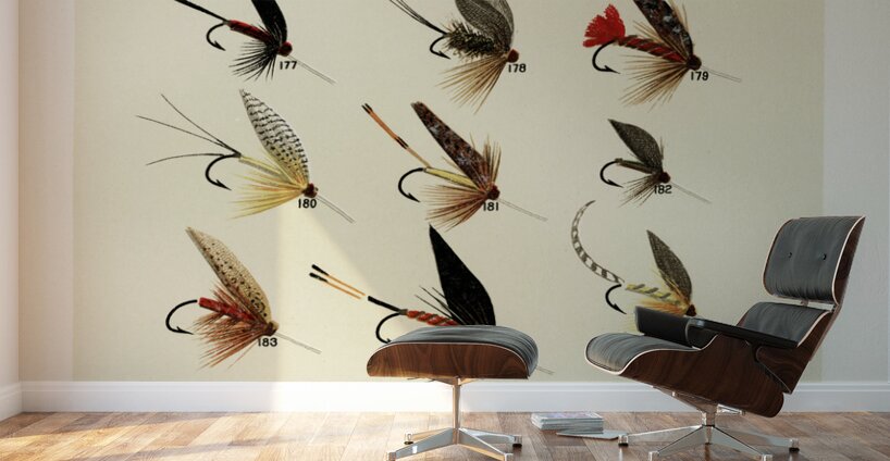 Trout Flies  Wall Murals