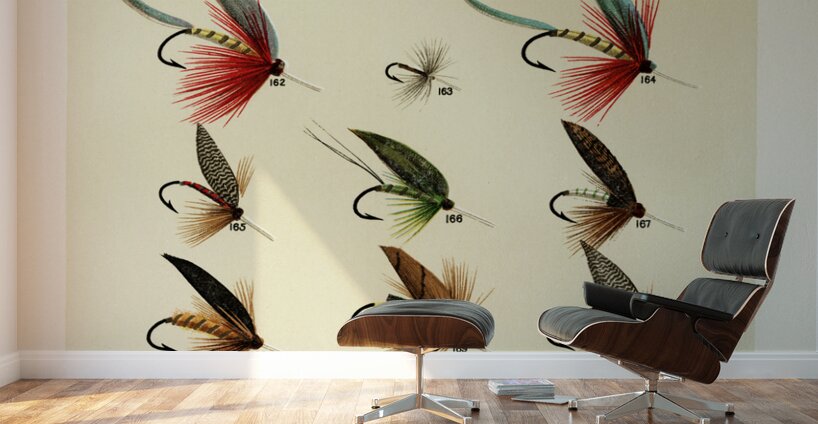 Trout Flies  Wall Murals