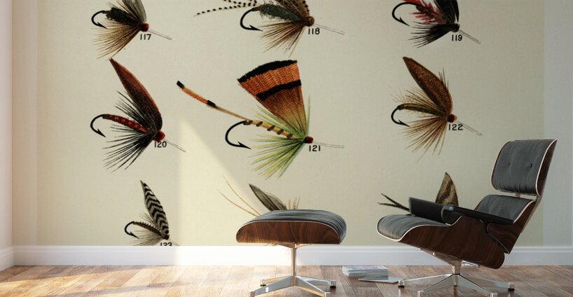 Trout Flies  Wall Murals
