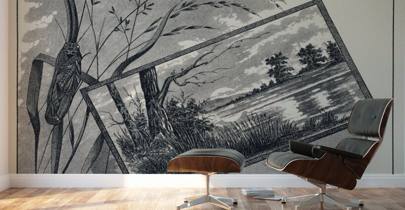 Brown Stone-flies  Wall Murals