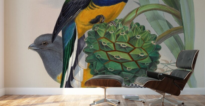 John Gould trogons 019 Wall Murals