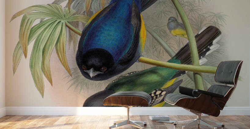 John Gould trogons 007 Wall Murals