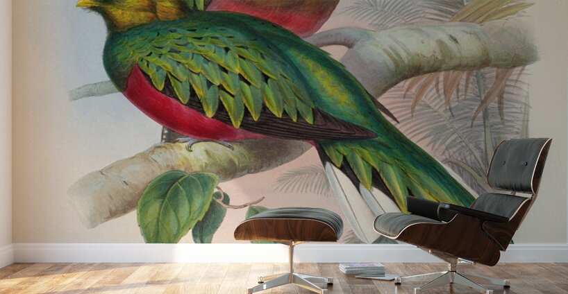 John Gould trogons 002 Wall Murals