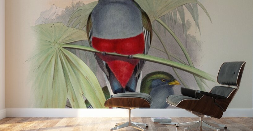 John Gould trogons 010 Wall Murals