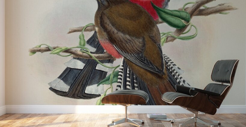 John Gould trogons 028 Wall Murals