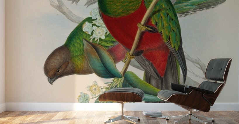 John Gould trogons 014 Wall Murals