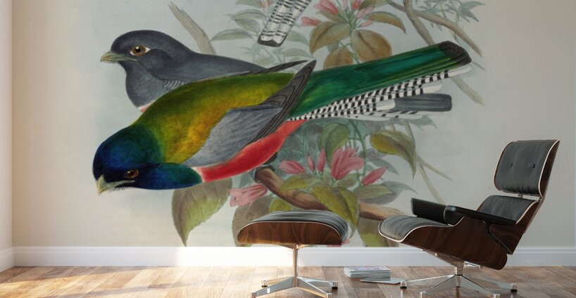 John Gould trogons 043 Wall Murals