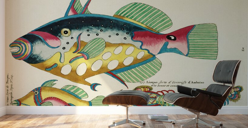 Colourful and surreal illustrations of maribe life found in Moluccas Indonesia and the East Indies by Louis Renard 1678 -1746 from Histoire naturelle des plus rares curiositez de la mer des Indes 1754. Wall Murals