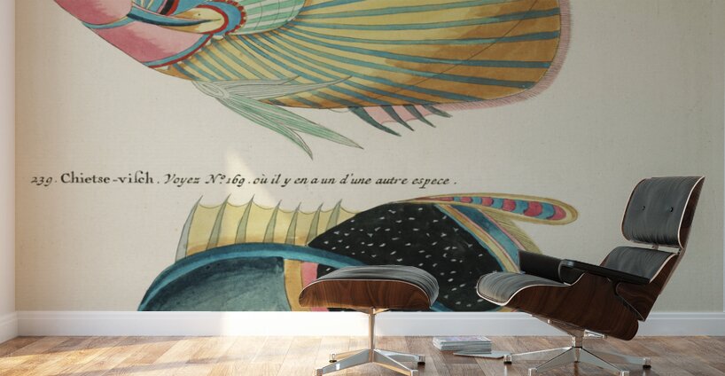 Colourful and surreal illustrations of fishes found in Moluccas Indonesia and the East Indies by Louis Renard 1678 -1746 from Histoire naturelle des plus rares curiositez de la mer des Indes 1754. Wall Murals