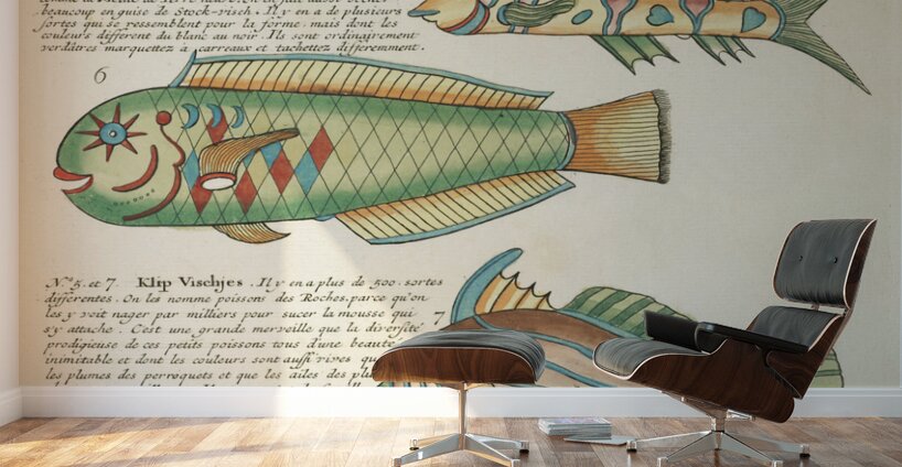 Colourful and surreal illustrations of fishes found in Moluccas Indonesia and the East Indies by Louis Renard 1678 -1746 from Histoire naturelle des plus rares curiositez de la mer des Indes 1754. Wall Murals