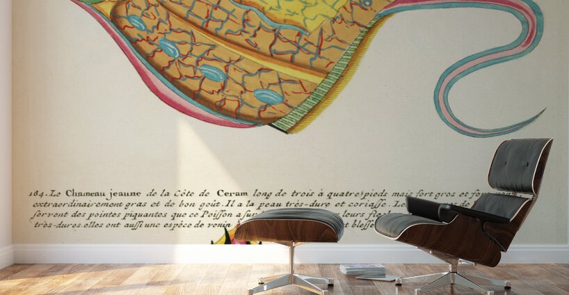 Colourful and surreal illustrations of fishes found in Moluccas Indonesia and the East Indies by Louis Renard 1678 -1746 from Histoire naturelle des plus rares curiositez de la mer des Indes 1754. Wall Murals