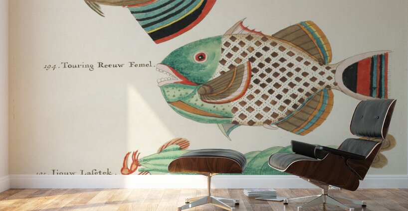 Colourful and surreal illustrations of fishes found in Moluccas Indonesia and the East Indies by Louis Renard 1678 -1746 from Histoire naturelle des plus rares curiositez de la mer des Indes 1754. Wall Murals
